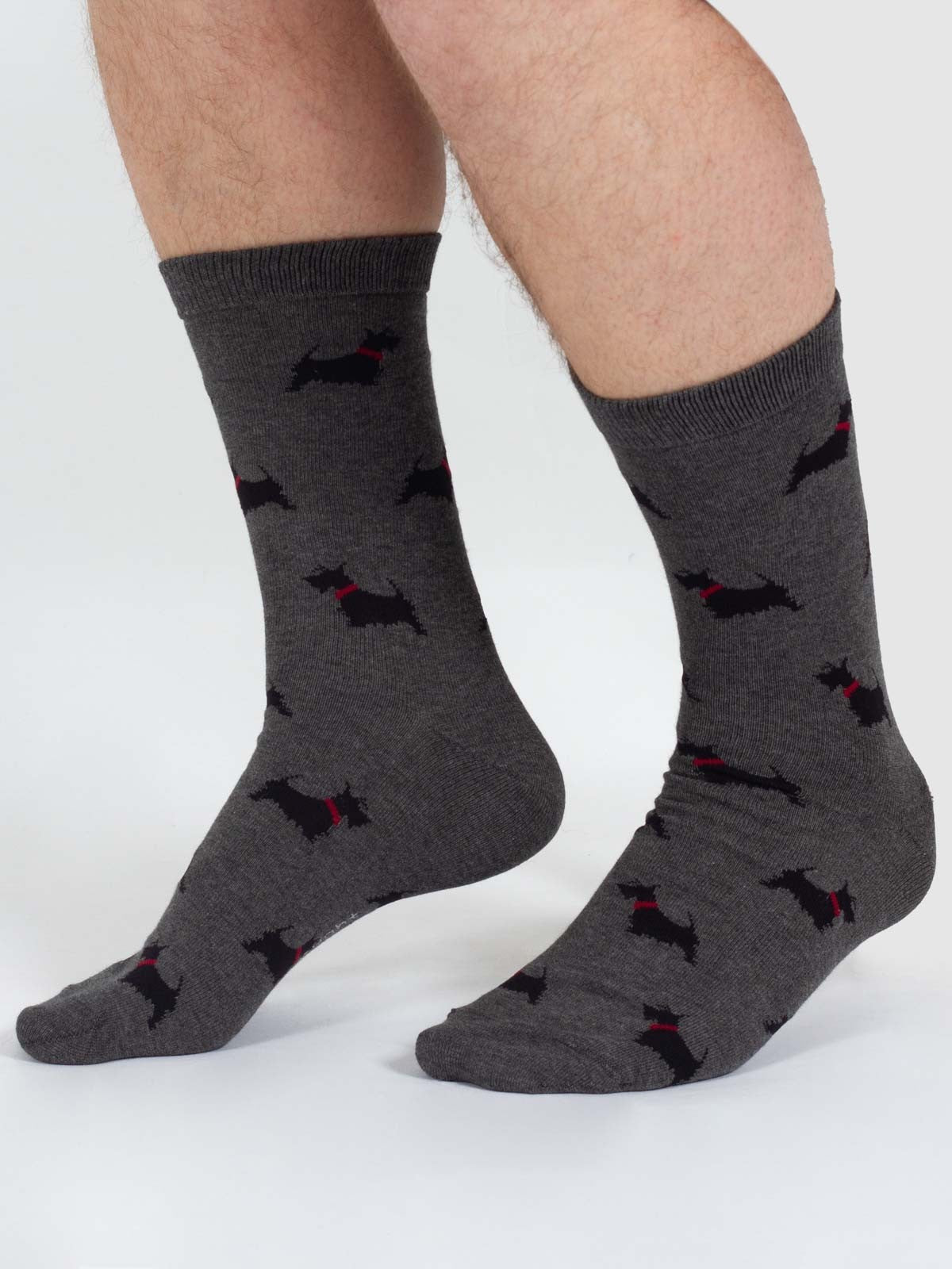Doggy Bamboo Crew Socks - Grey/Scottish Terrier