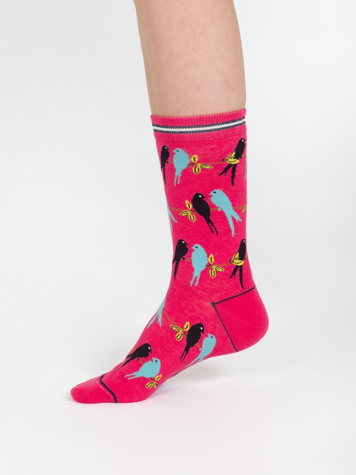 Lovebird Silhouette Organic Cotton Socks - Coral
