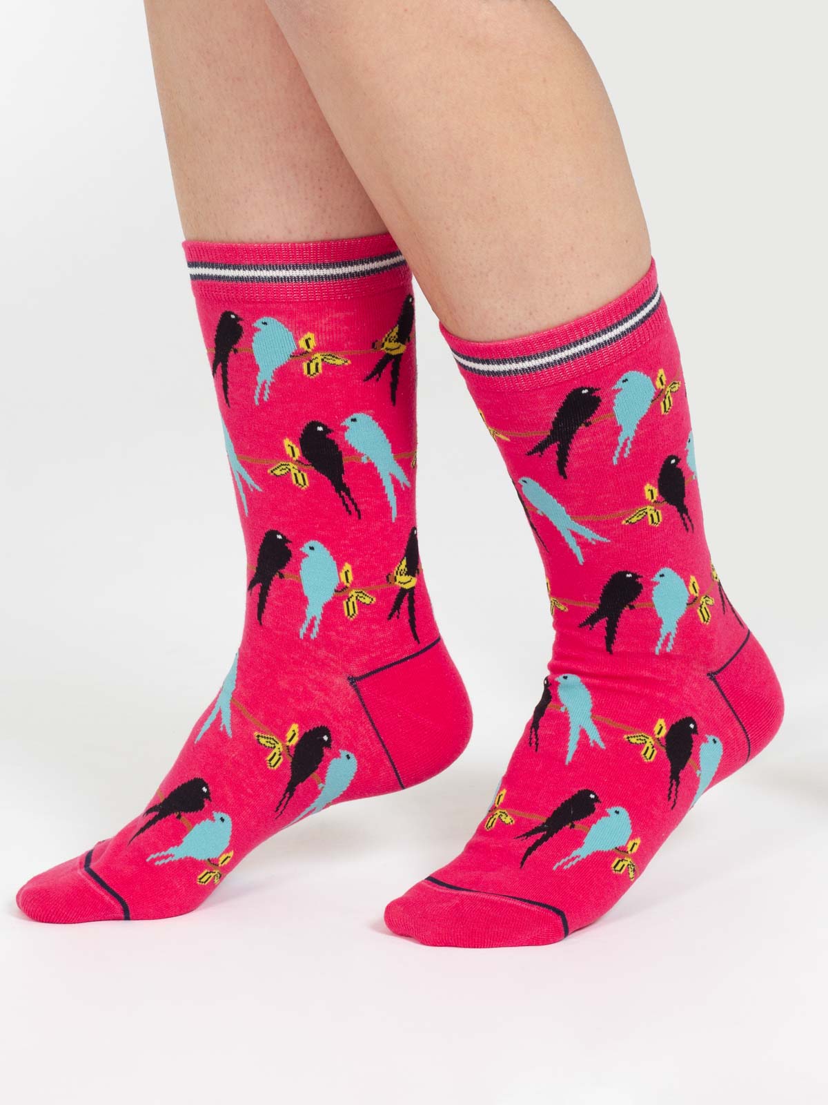 Lovebird Silhouette Organic Cotton Socks - Coral