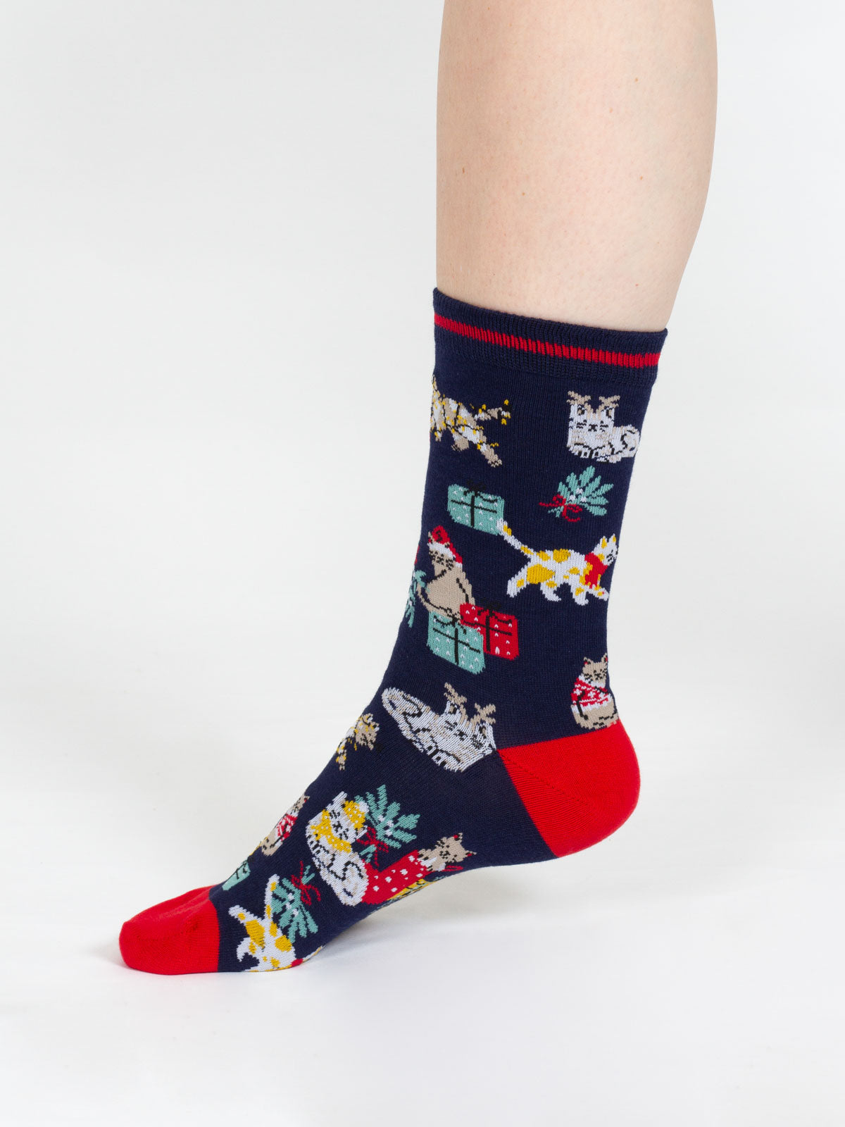 Christmas Pet Organic Cotton Sock - Navy
