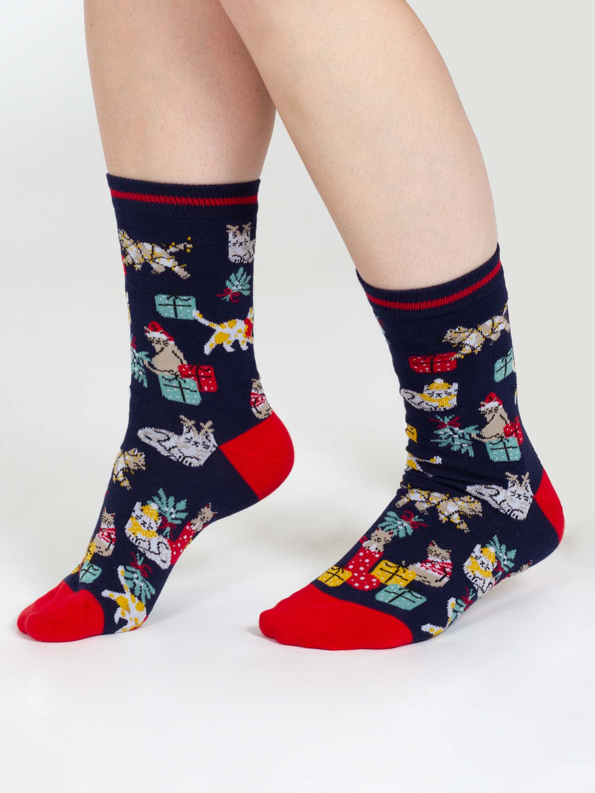 Christmas Pet Organic Cotton Sock - Navy