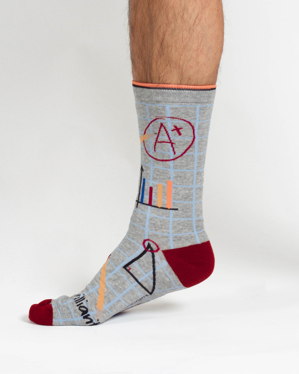 Mathematician Bamboo 2 Socks in a Bag - Grey/Navy