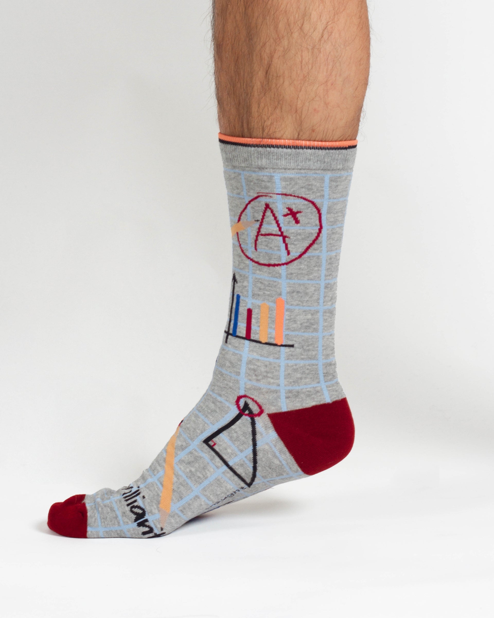 Mathematician Bamboo 2 Socks in a Bag - Grey/Navy