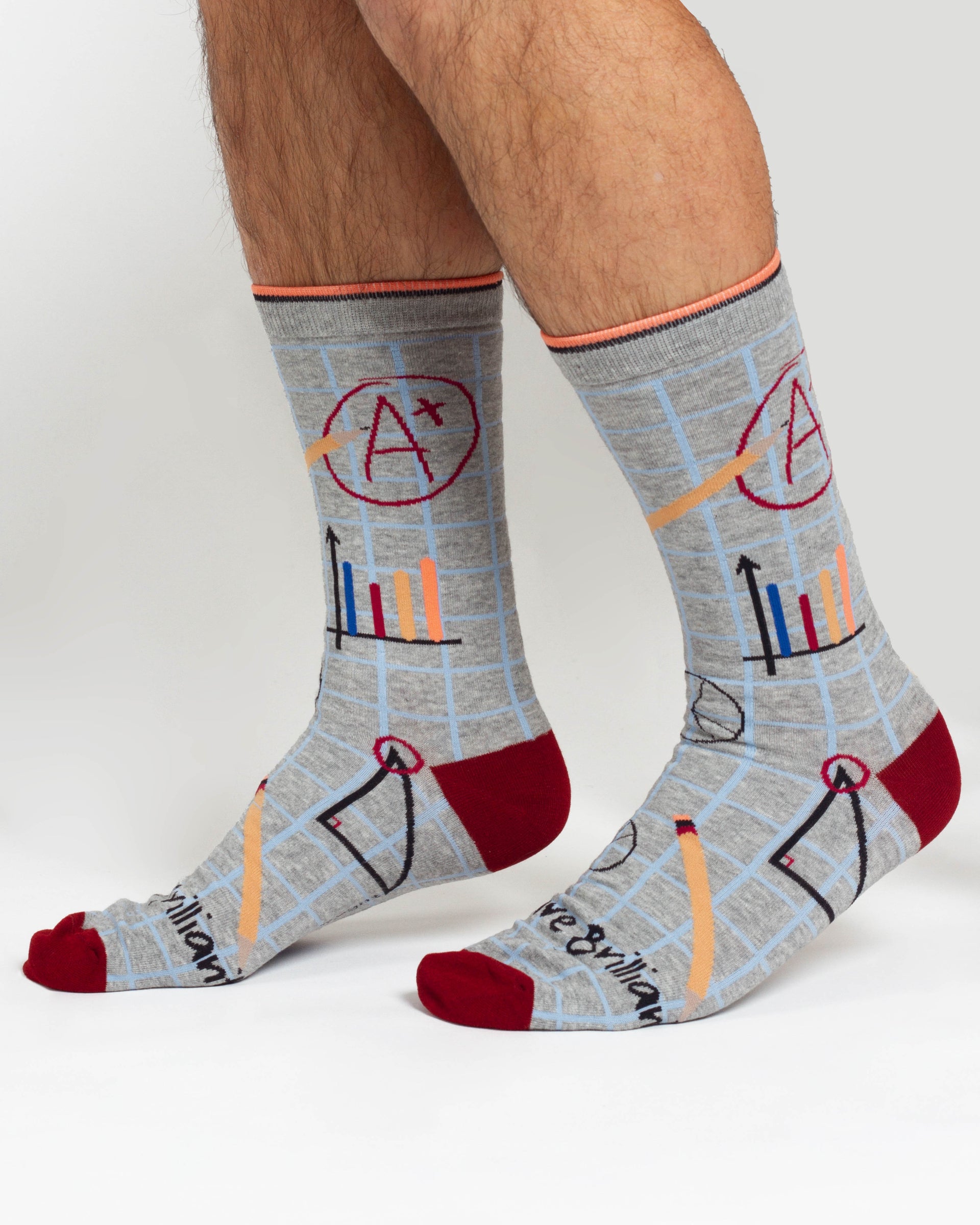 Mathematician Bamboo 2 Socks in a Bag - Grey/Navy